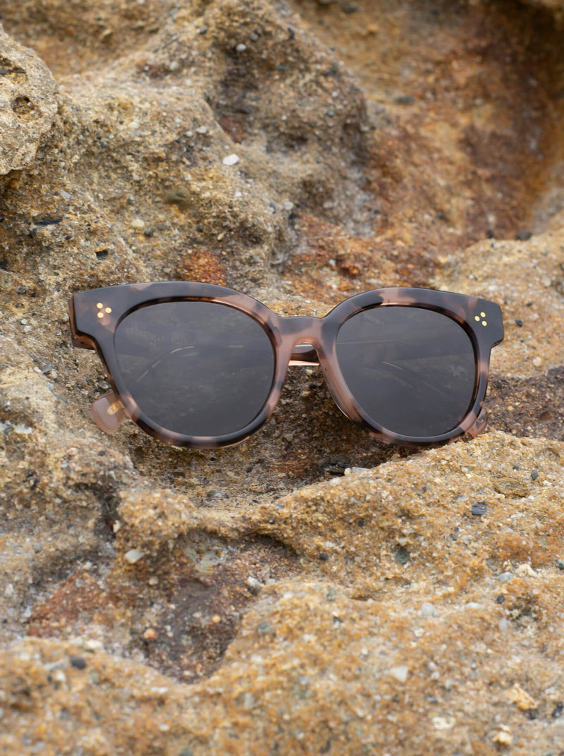 [Coral Tortoise / Dark Smoke]