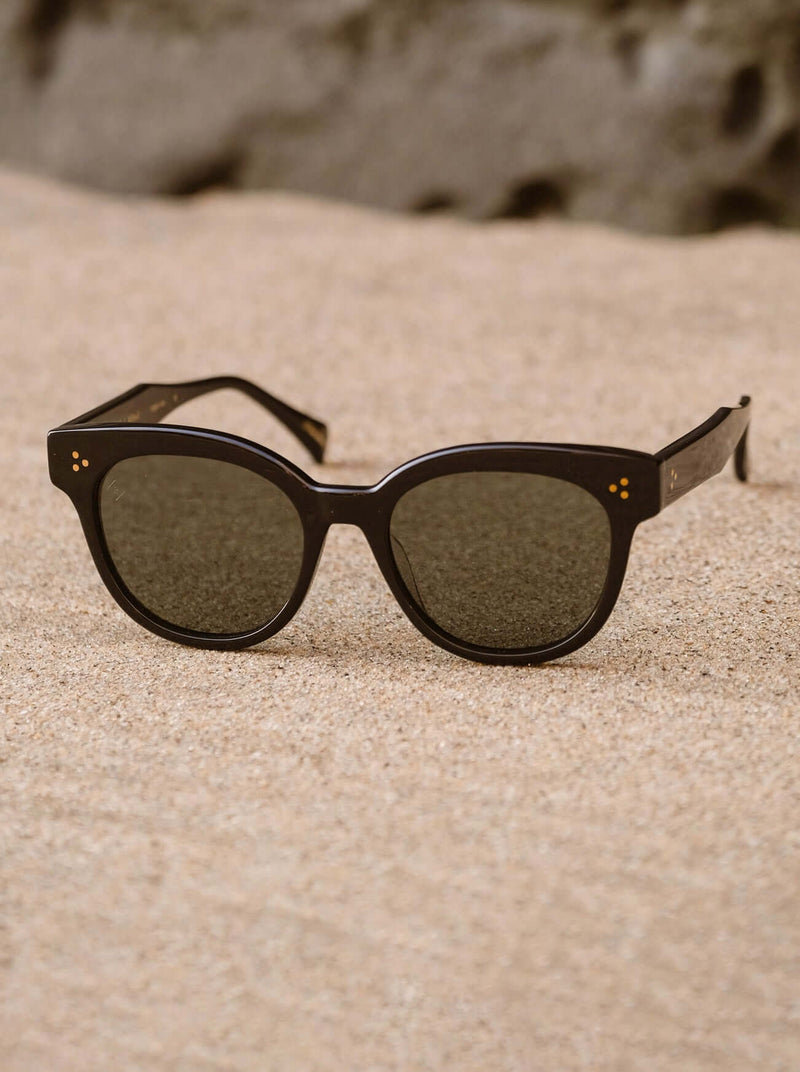 [Nero Tortoise / Dark Smoke]