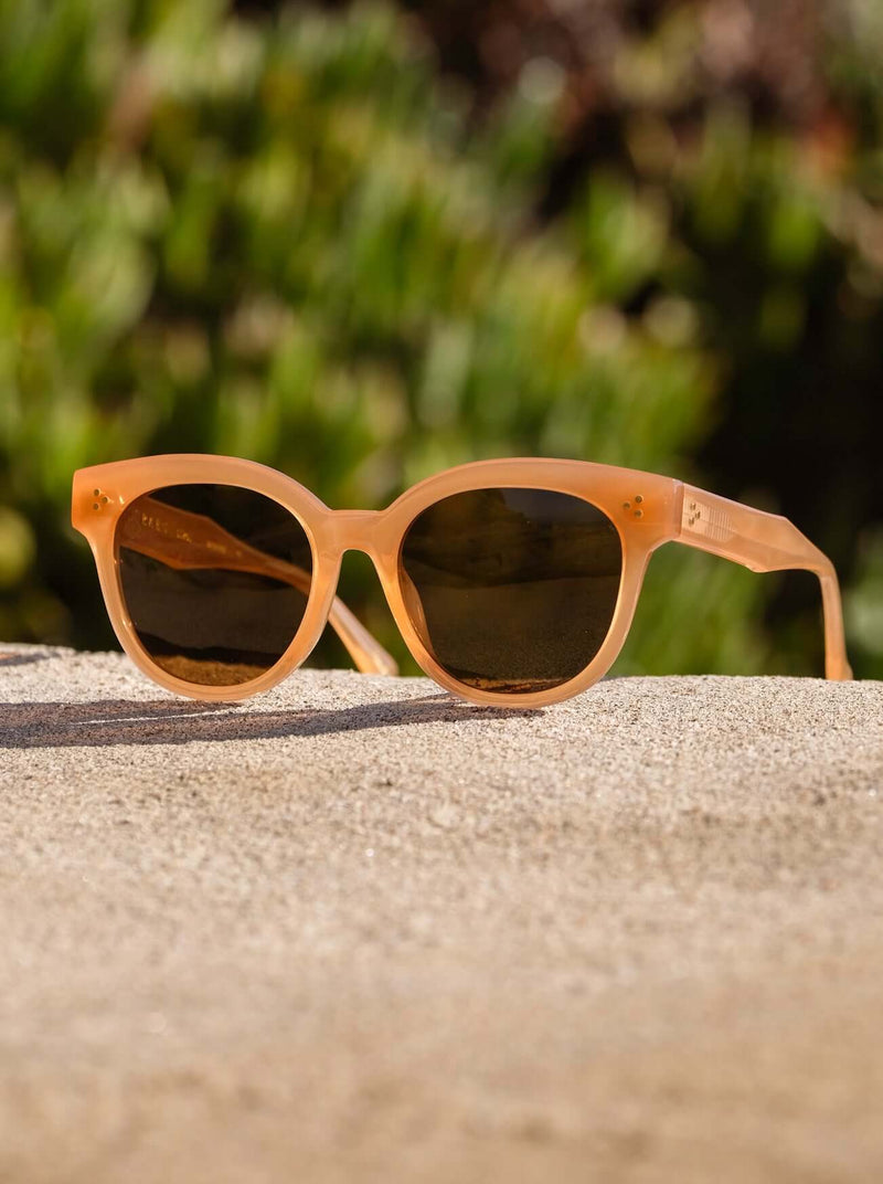 [Papaya / Vibrant Brown Polarized]