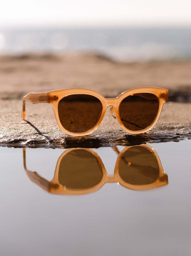 [Papaya / Vibrant Brown Polarized]