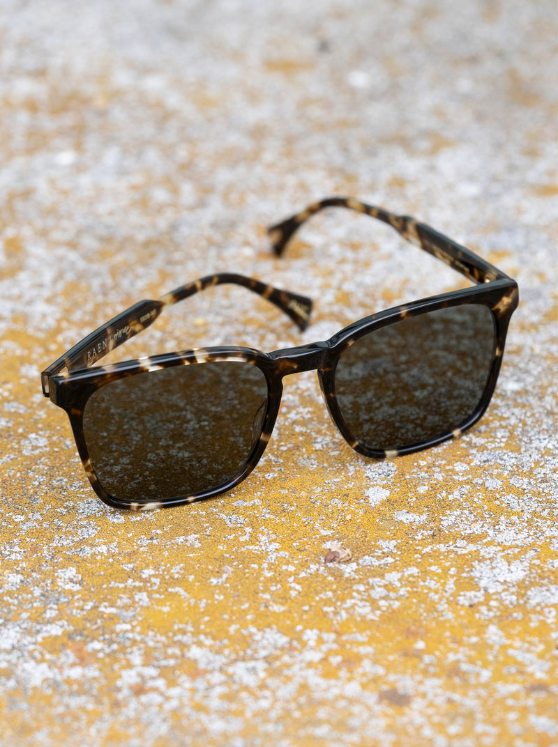 [Brindle Tortoise / Green Polarized]