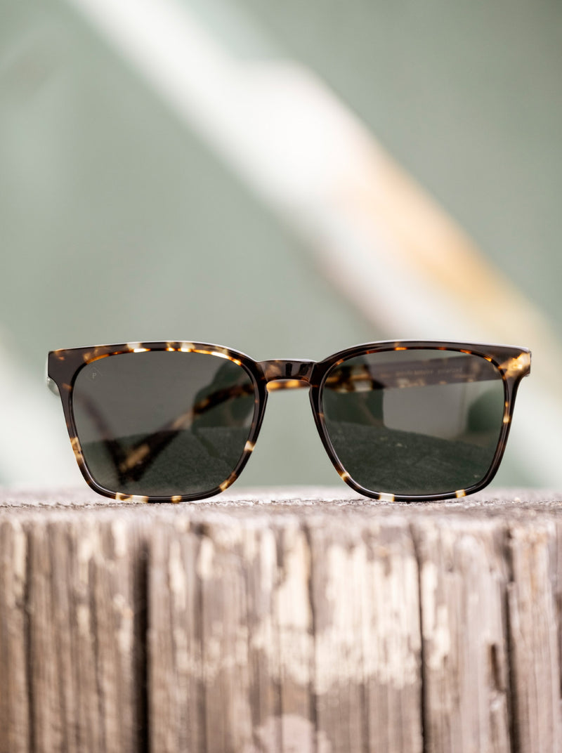 [Slate / Vibrant Brown Polarized]