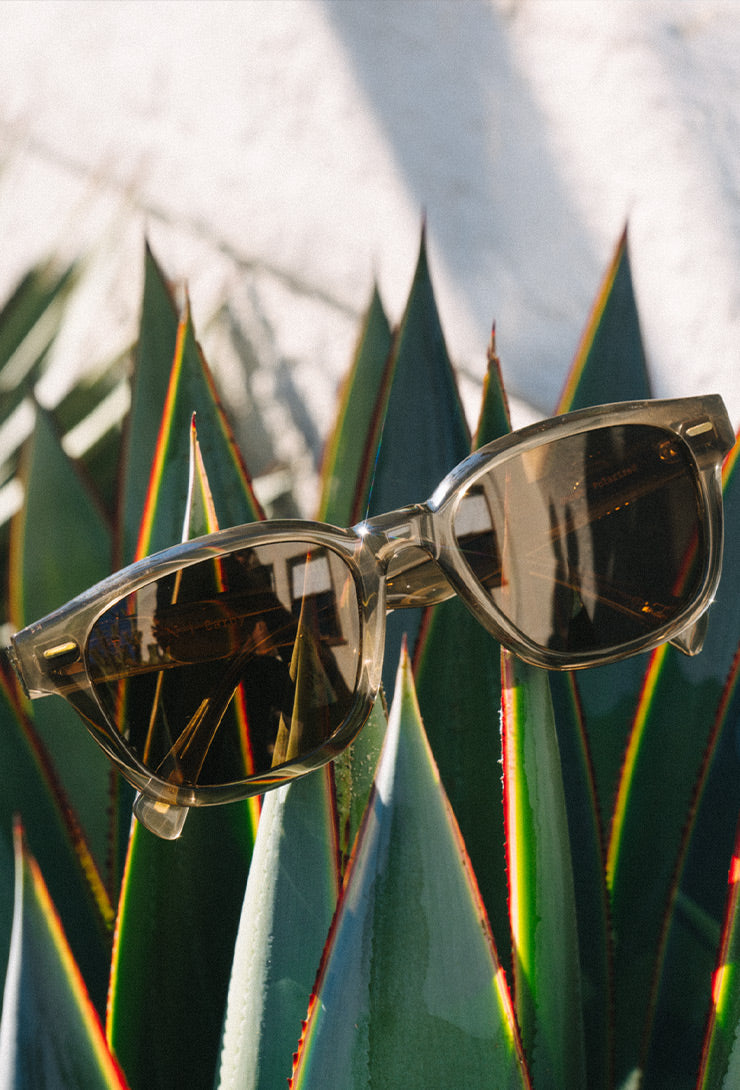 [Recycled Black / Green Polarized]