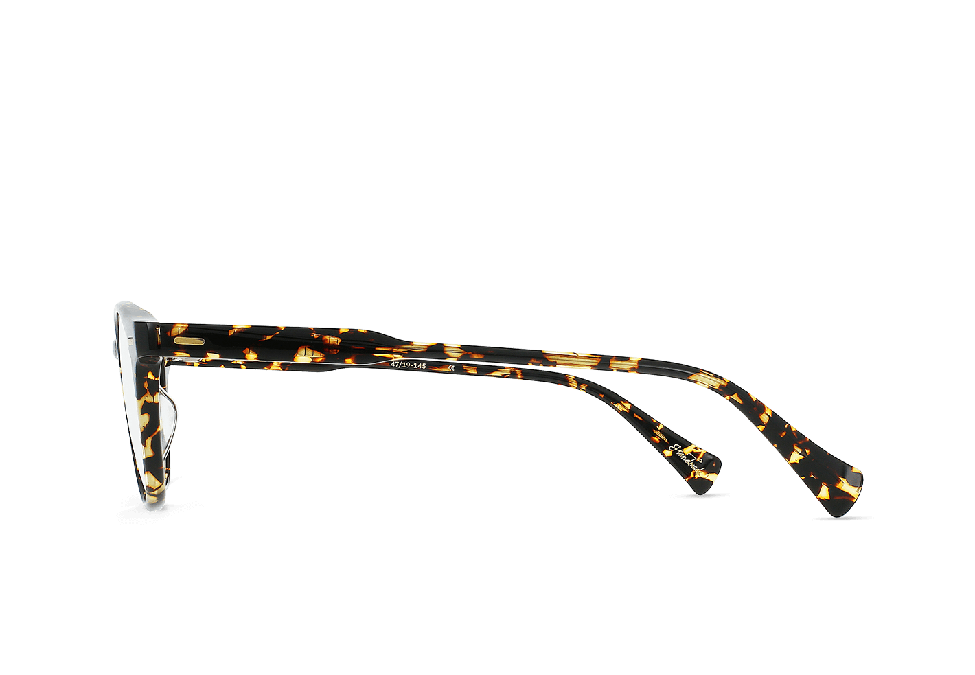 [Cosmos Tortoise]