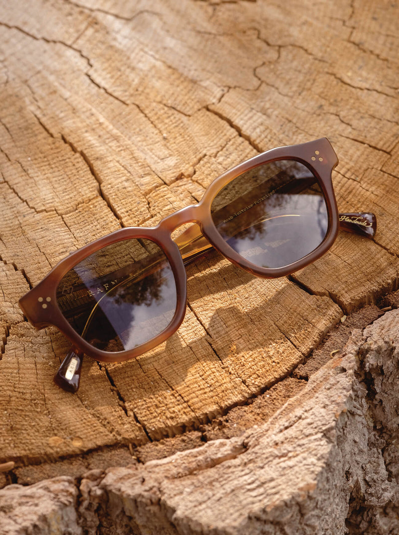 [Split Moab Tortoise / Green Polarized]