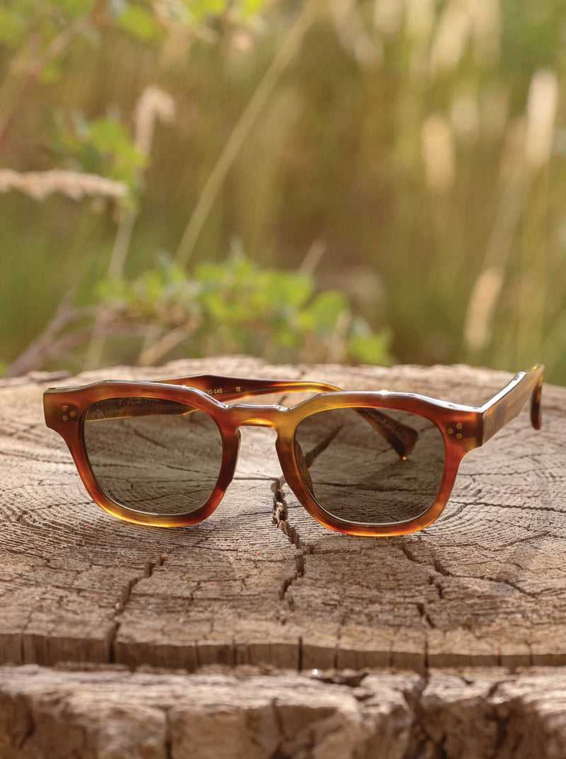 [Split Moab Tortoise / Green Polarized]