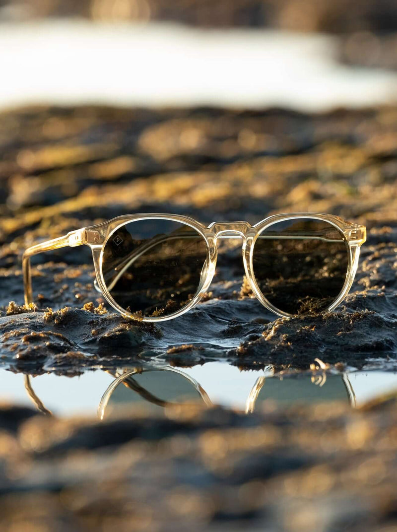 [Champagne Crystal / Green Polarized]