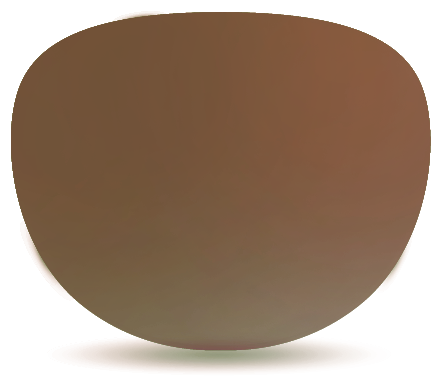 Wiley X Prescription-Sunglasses-Digiforce Single Vision-Standard