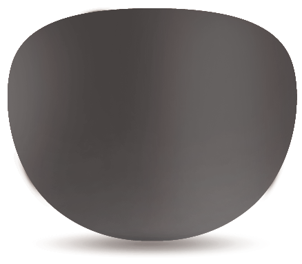 Wiley X Prescription-Sunglasses-Digiforce Progressive -Standard