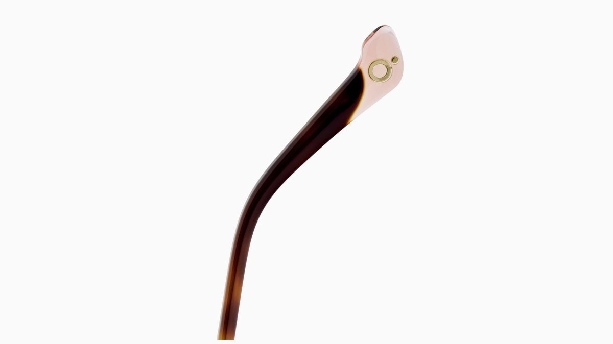 Etnia Barcelona AVILA - Specs Eyewear