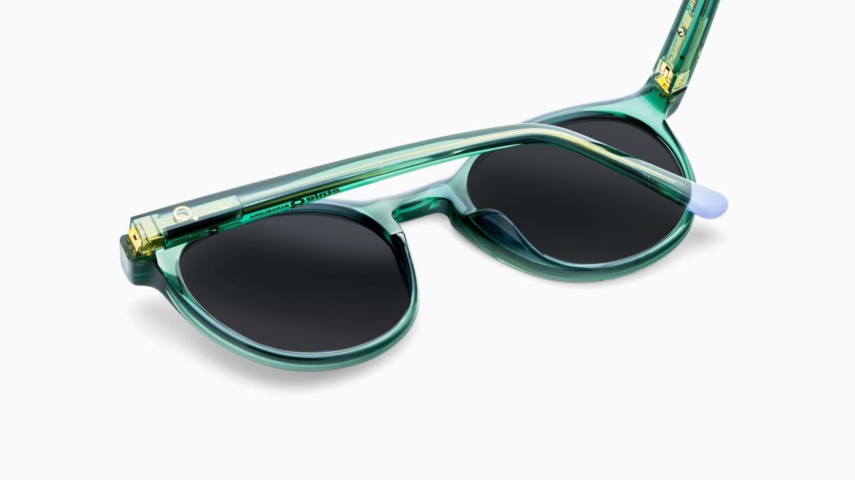 Etnia Barcelona AVINYO 3 SUN - Specs Eyewear