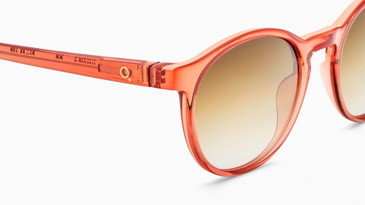 Etnia Barcelona AVINYO 3 SUN - Specs Eyewear