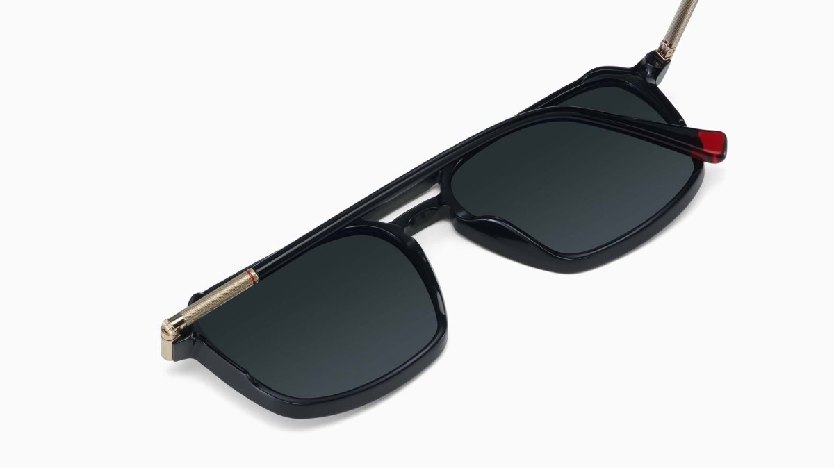 Etnia Barcelona BUFFALO - Specs Eyewear