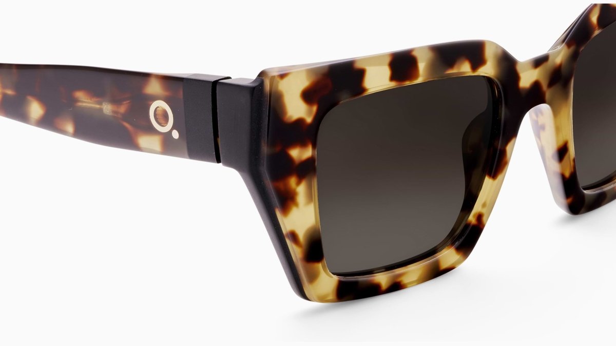 Etnia Barcelona RITMO - Specs Eyewear