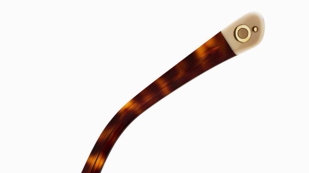 Etnia Barcelona SARRIA - Specs Eyewear