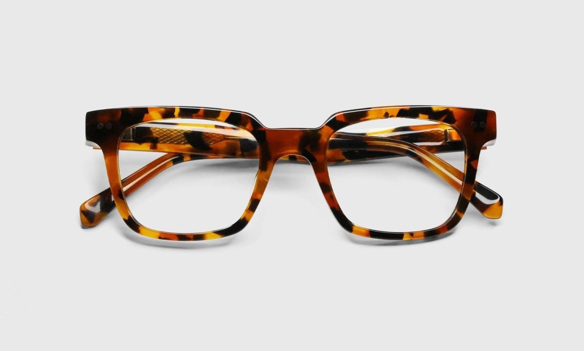 Eyebobs In Cahoots Sunglasses - Specs Eyewear