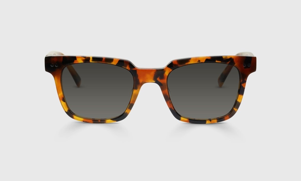 Eyebobs In Cahoots Sunglasses - Specs Eyewear