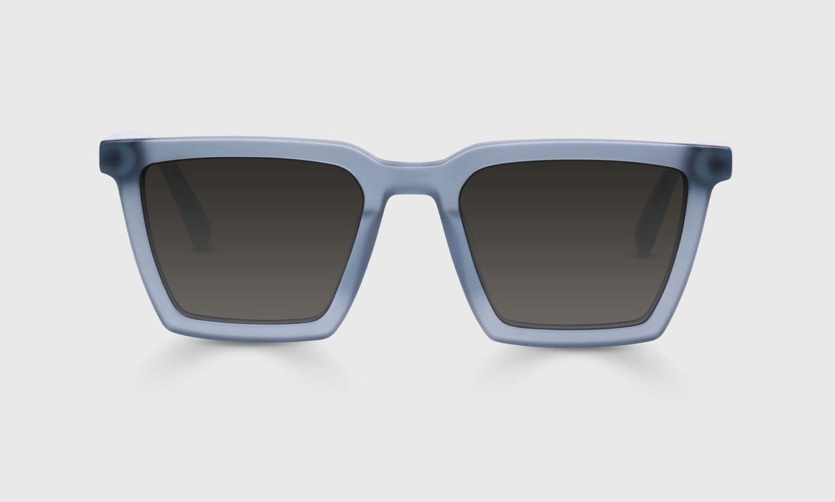 Eyebobs Oversight Sunglasses - Specs Eyewear