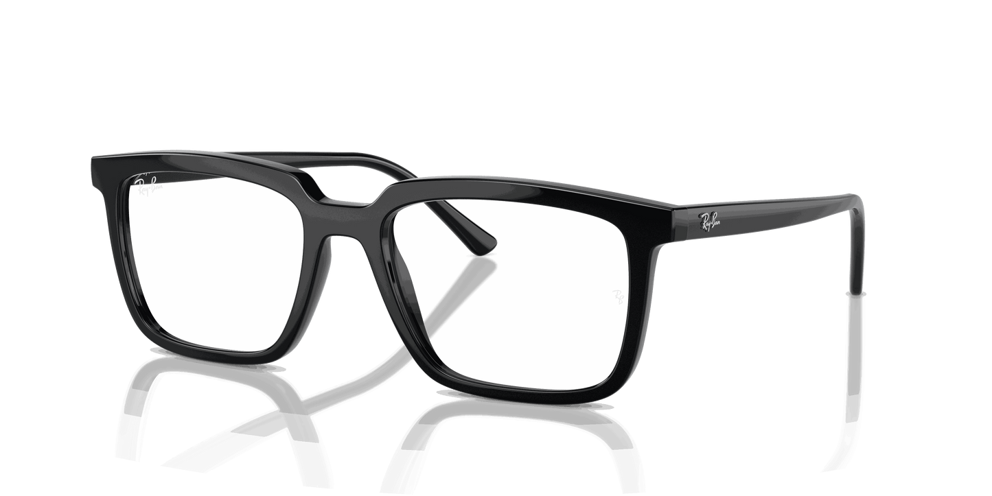 [Clear Lenses, Polished Black Frame]