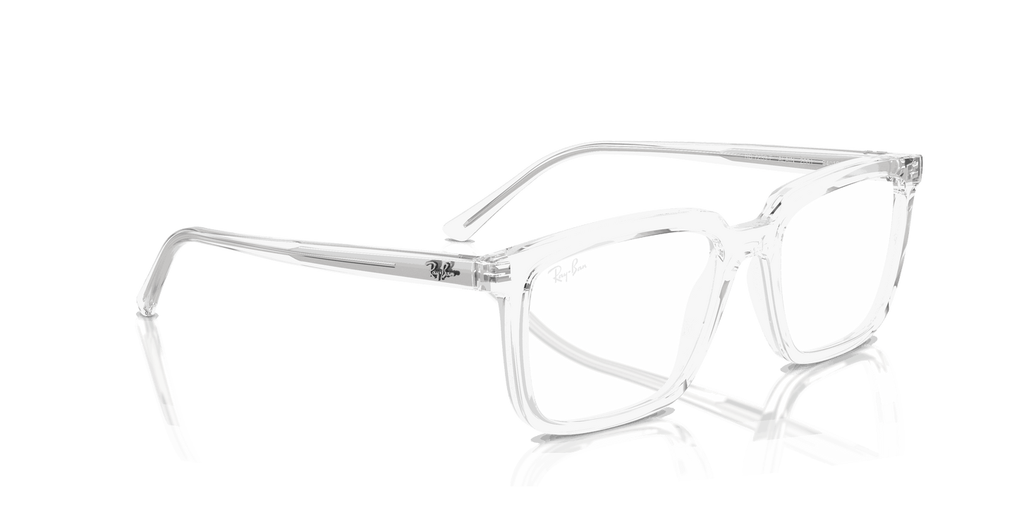[Clear Lenses, Polished Transparent Frame]