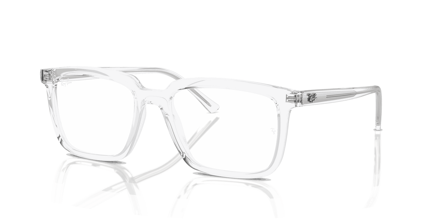 [Clear Lenses, Polished Transparent Frame]