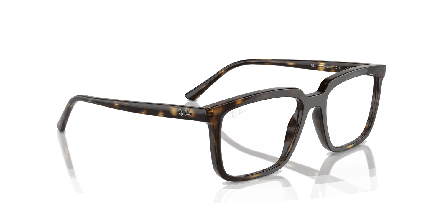 [Clear Lenses, Polished Havana Frame]