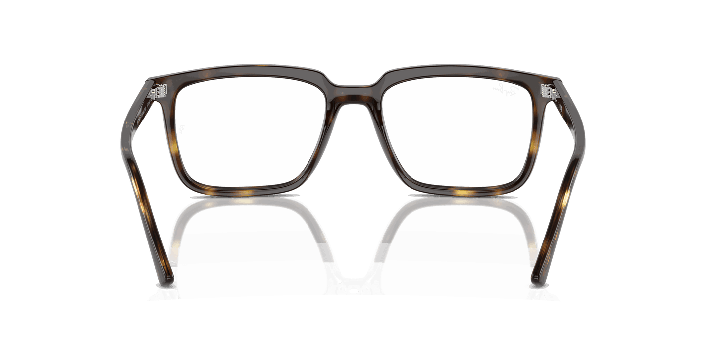 [Clear Lenses, Polished Havana Frame]