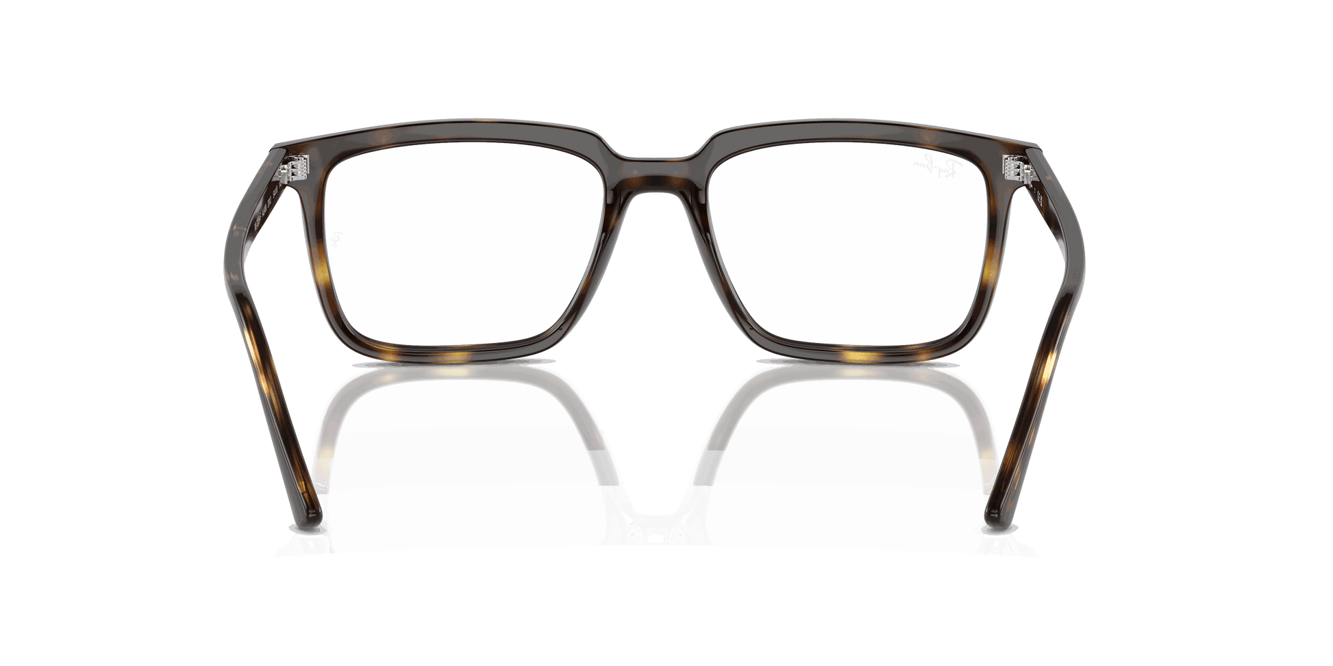 [Clear Lenses, Polished Havana Frame]