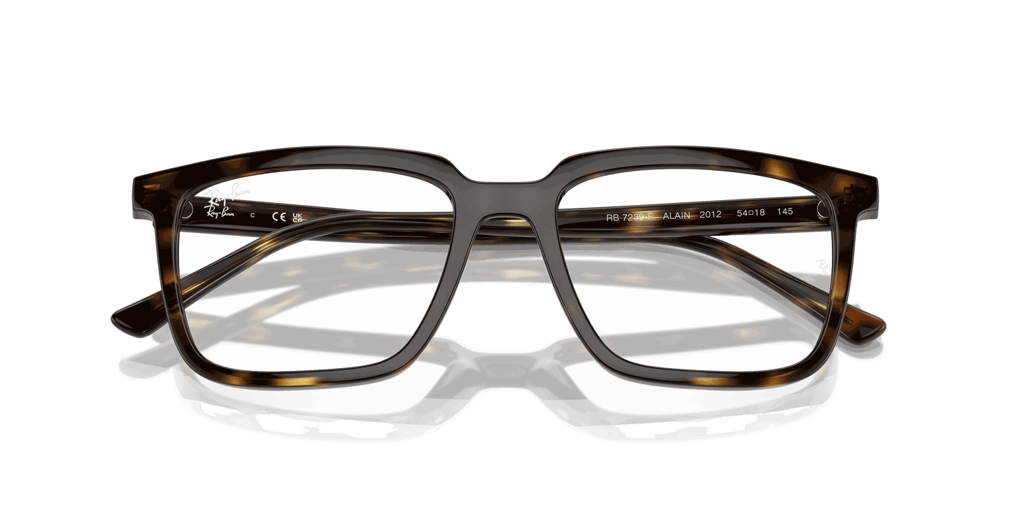 [Clear Lenses, Polished Havana Frame]