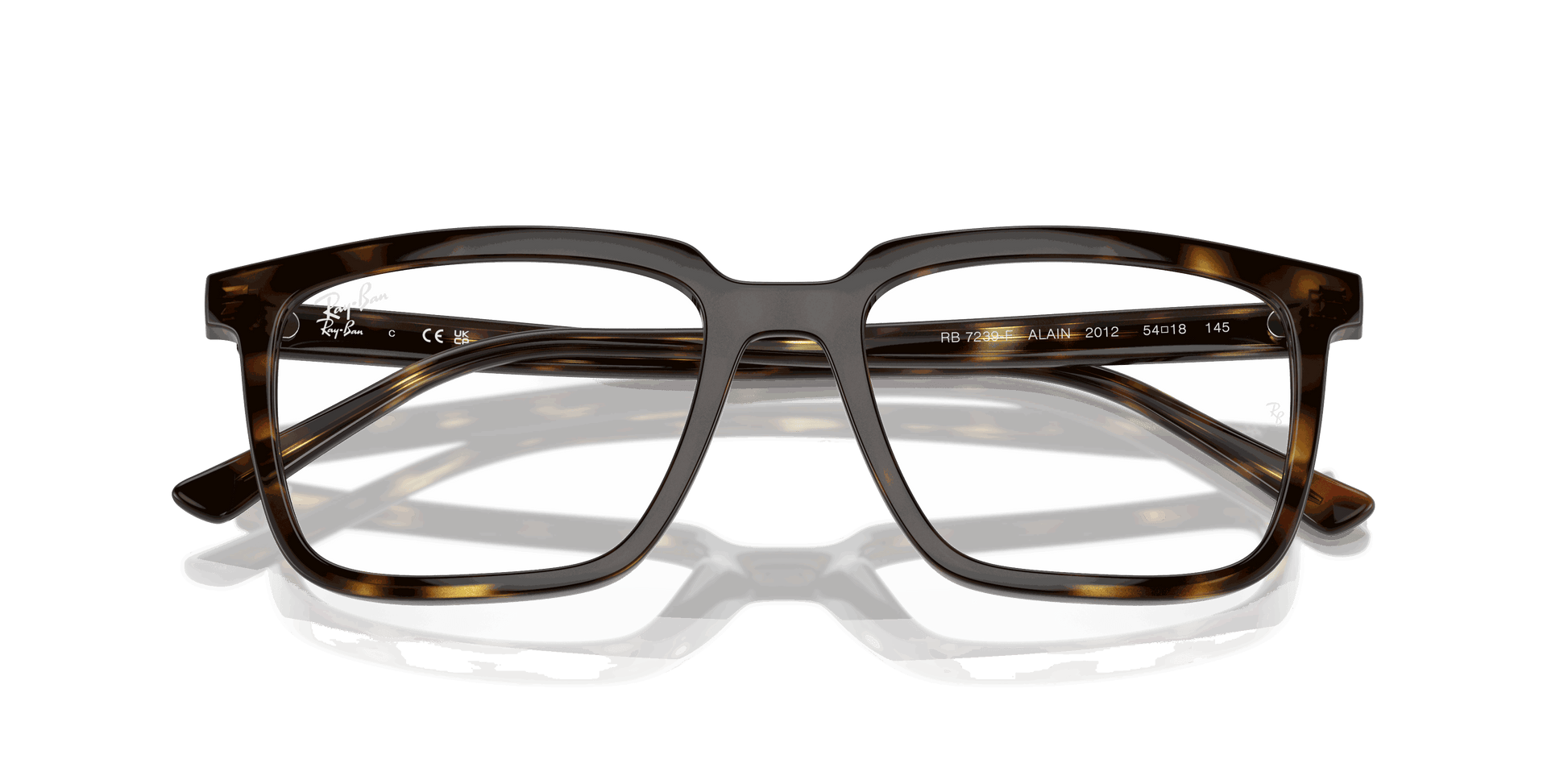 [Clear Lenses, Polished Havana Frame]