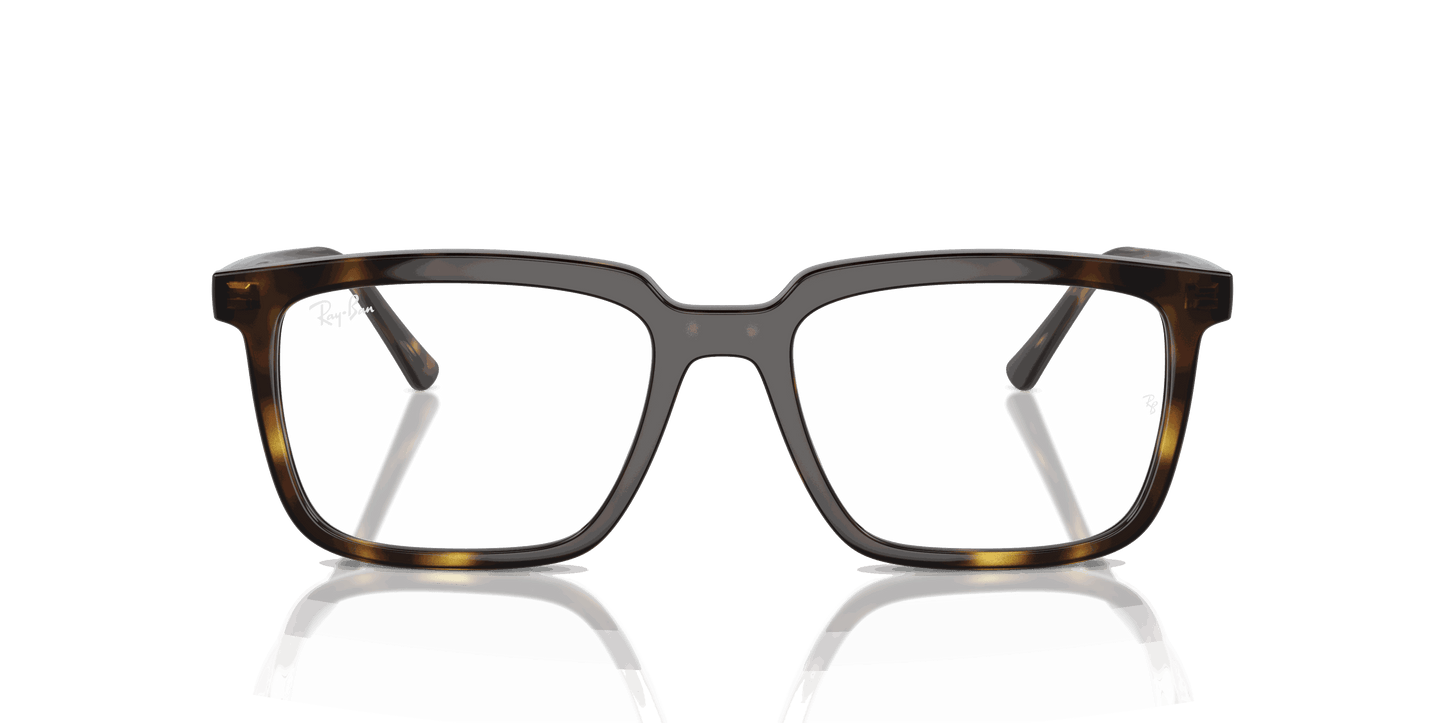 [Clear Lenses, Polished Havana Frame]