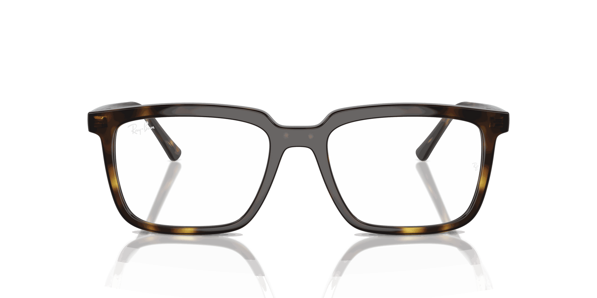 [Clear Lenses, Polished Havana Frame]