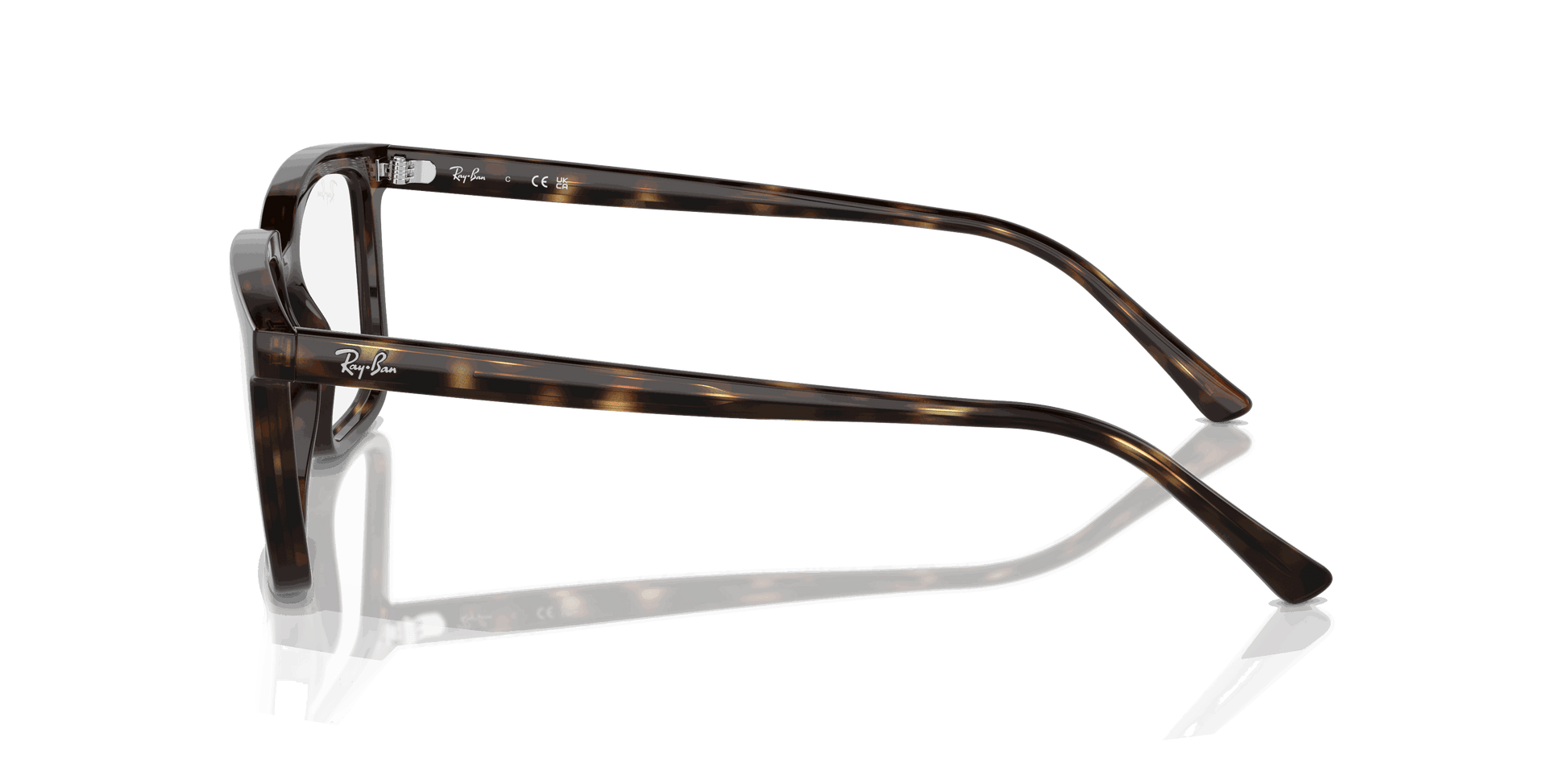 [Clear Lenses, Polished Havana Frame]
