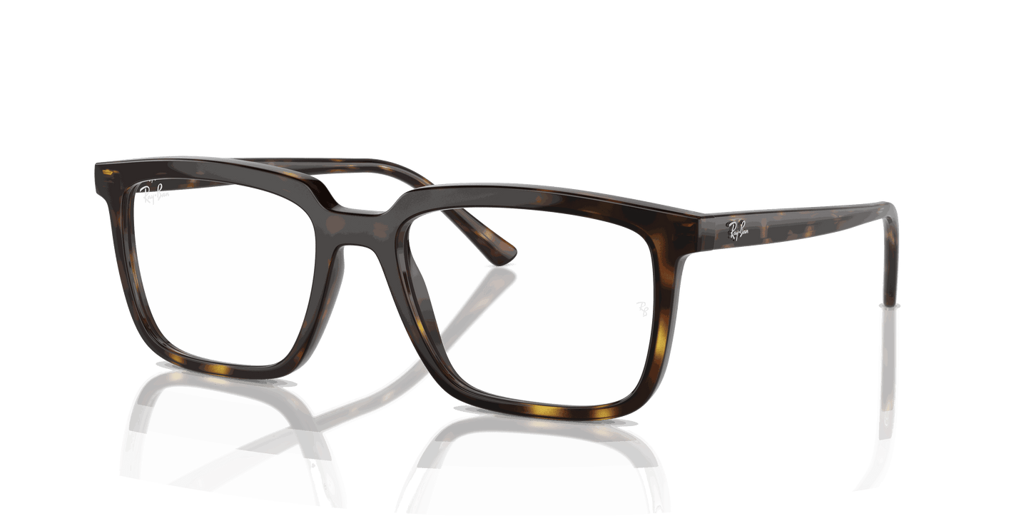 [Clear Lenses, Polished Havana Frame]