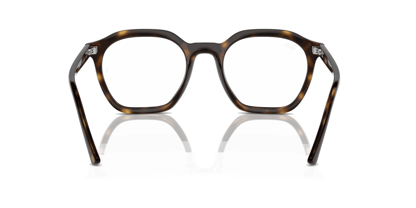 [Clear Lenses, Polished Havana Frame]