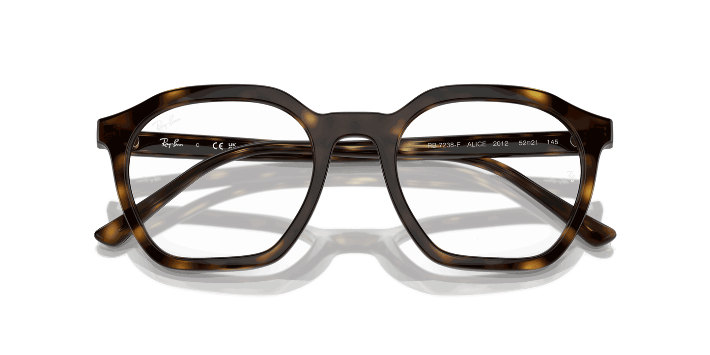[Clear Lenses, Polished Havana Frame]