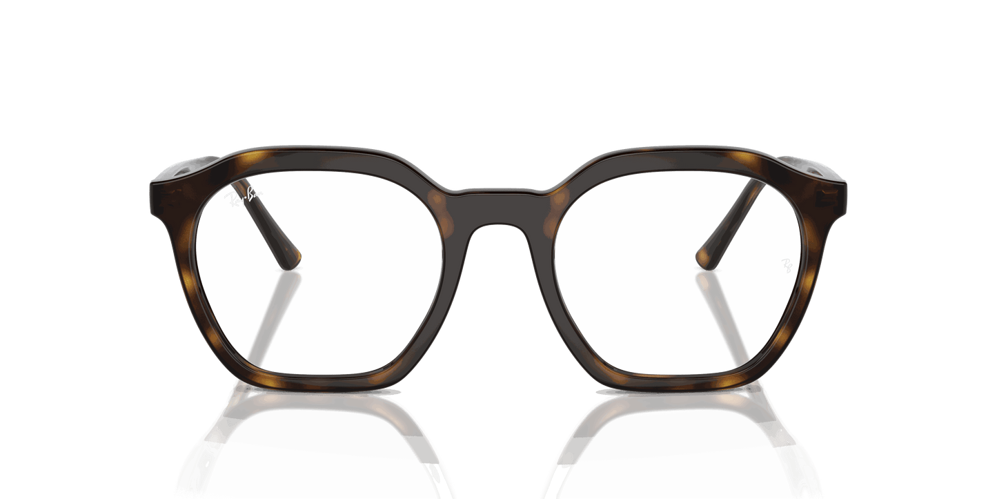 [Clear Lenses, Polished Havana Frame]