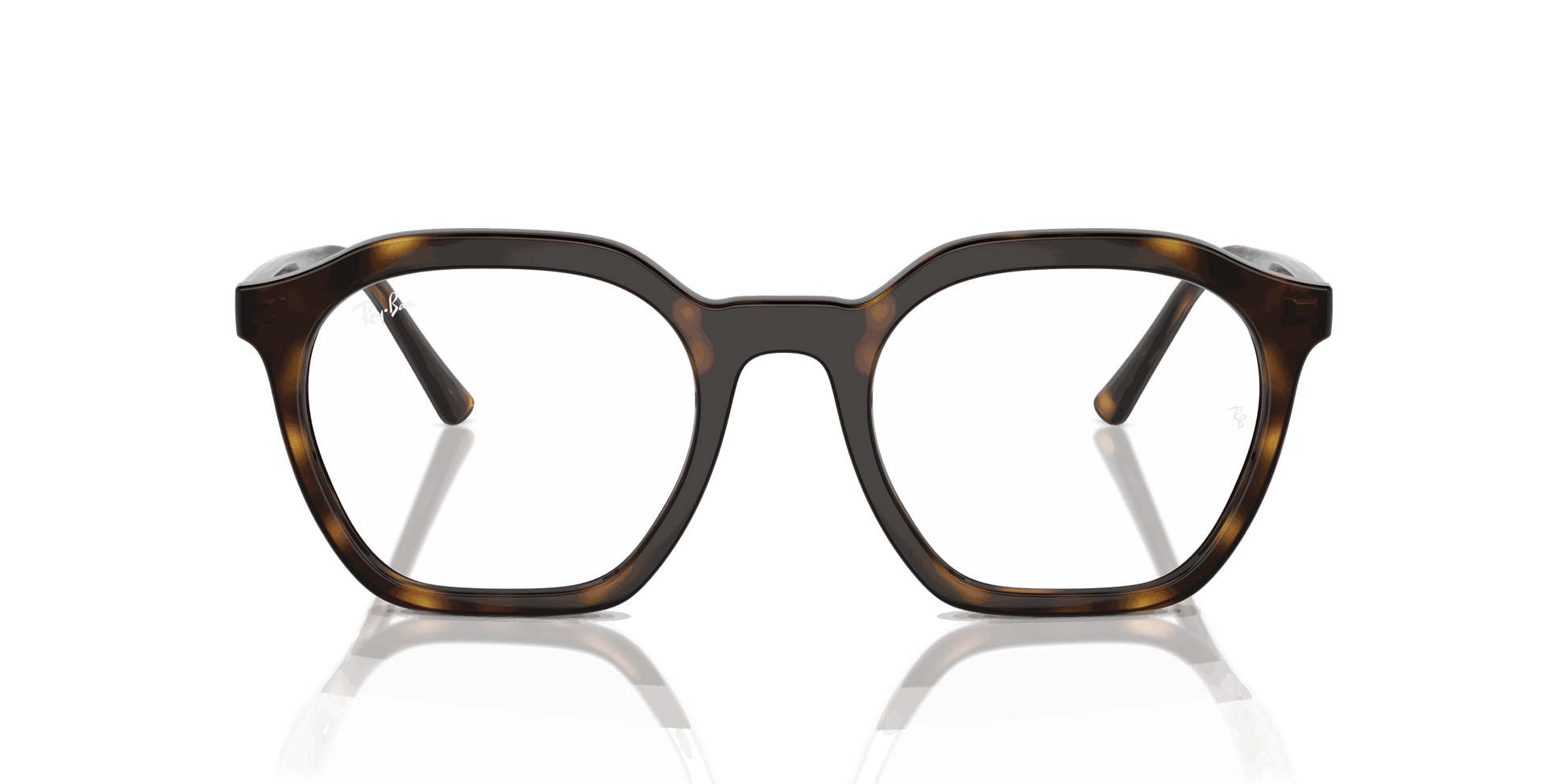 [Clear Lenses, Polished Havana Frame]