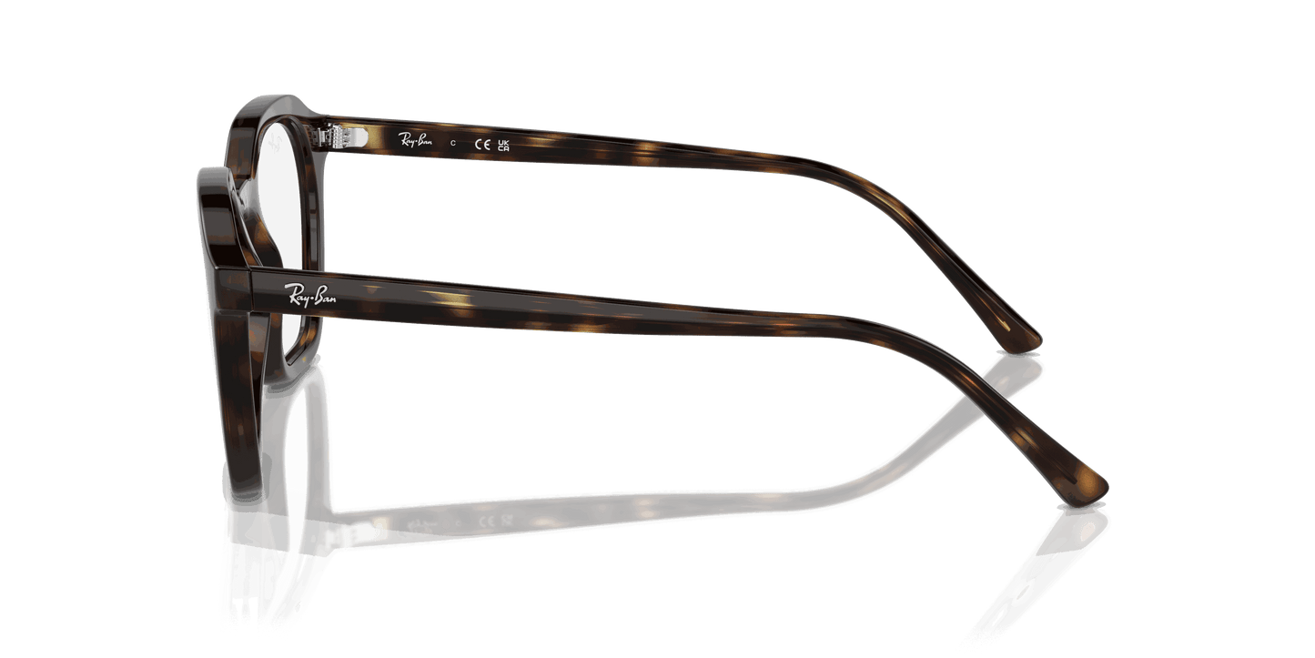 [Clear Lenses, Polished Havana Frame]