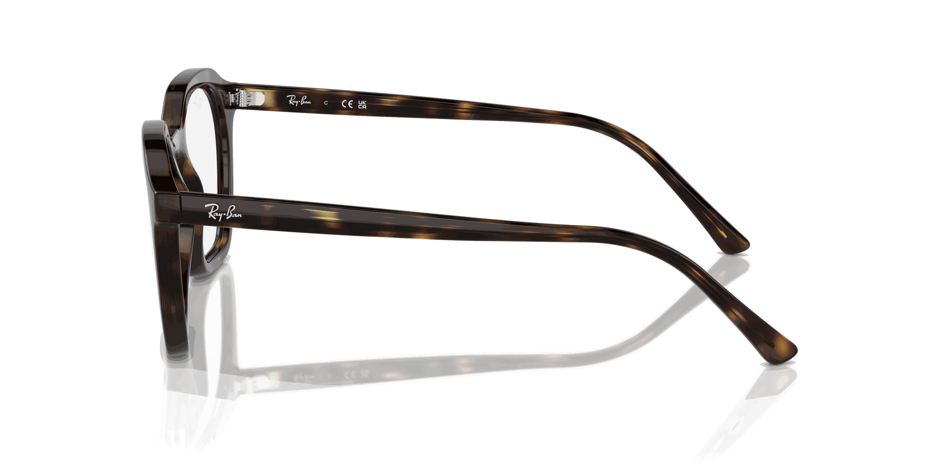 [Clear Lenses, Polished Havana Frame]