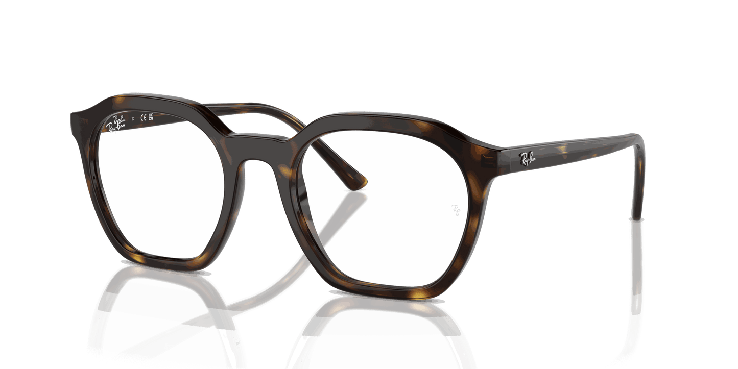 [Clear Lenses, Polished Havana Frame]