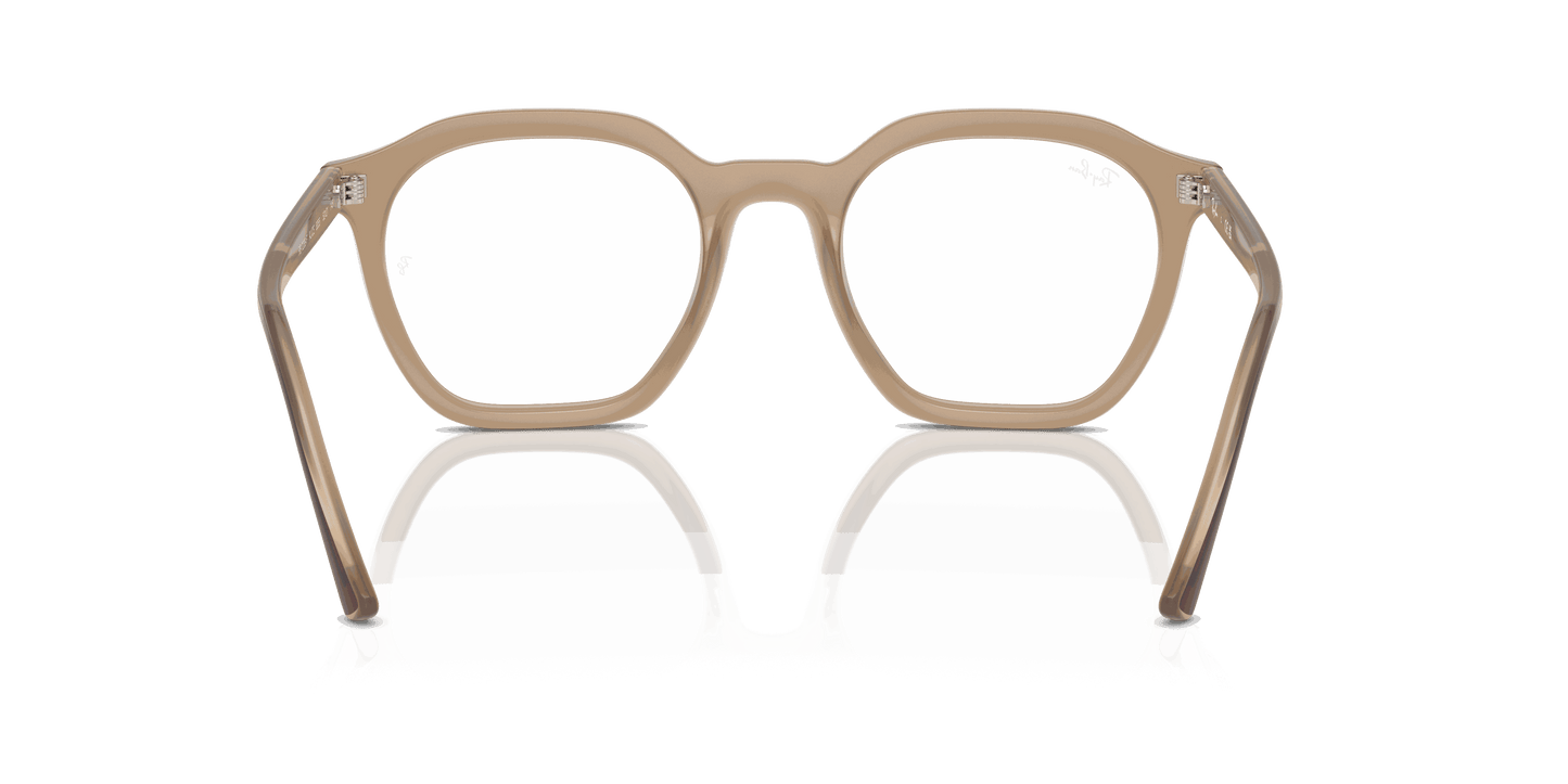 [Clear Lenses, Polished Tortledove Frame]