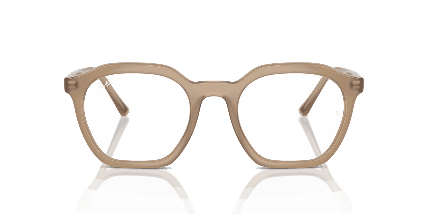 [Clear Lenses, Polished Tortledove Frame]