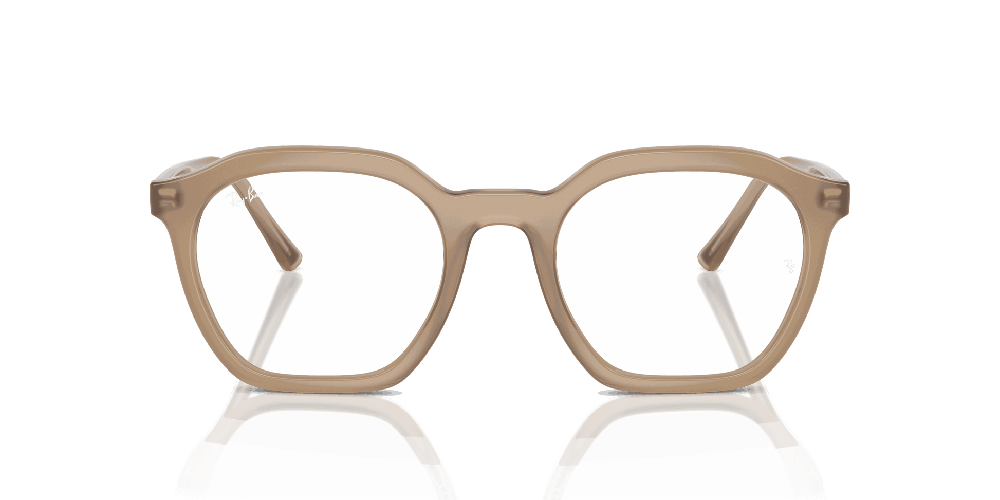 [Clear Lenses, Polished Tortledove Frame]