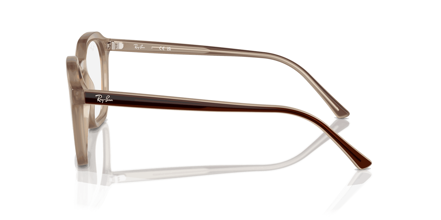 [Clear Lenses, Polished Tortledove Frame]