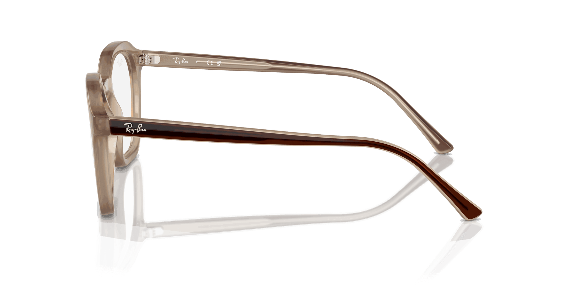 [Clear Lenses, Polished Tortledove Frame]