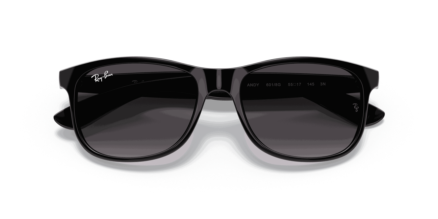 [Light Grey Gradient Dark Grey Lenses, Polished Black Frame]
