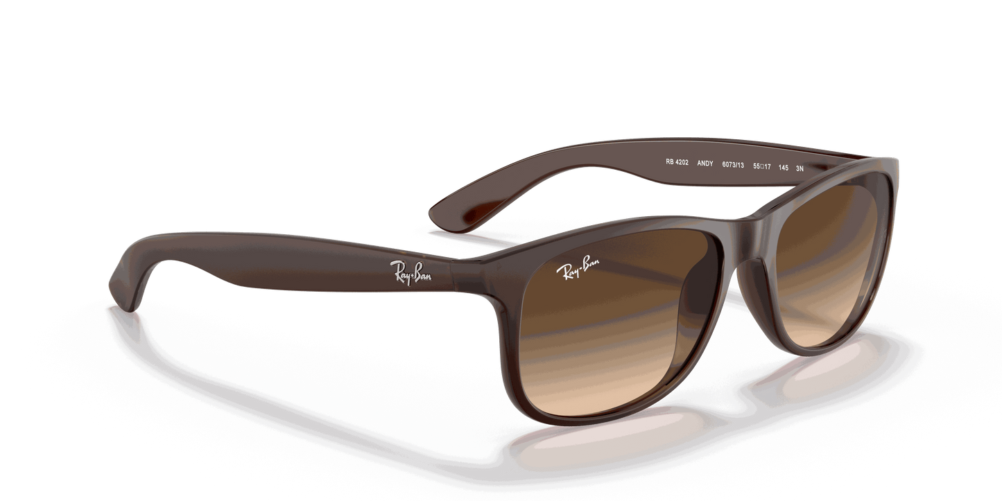 [Brown Gradient Lenses, Matte Brown Frame]