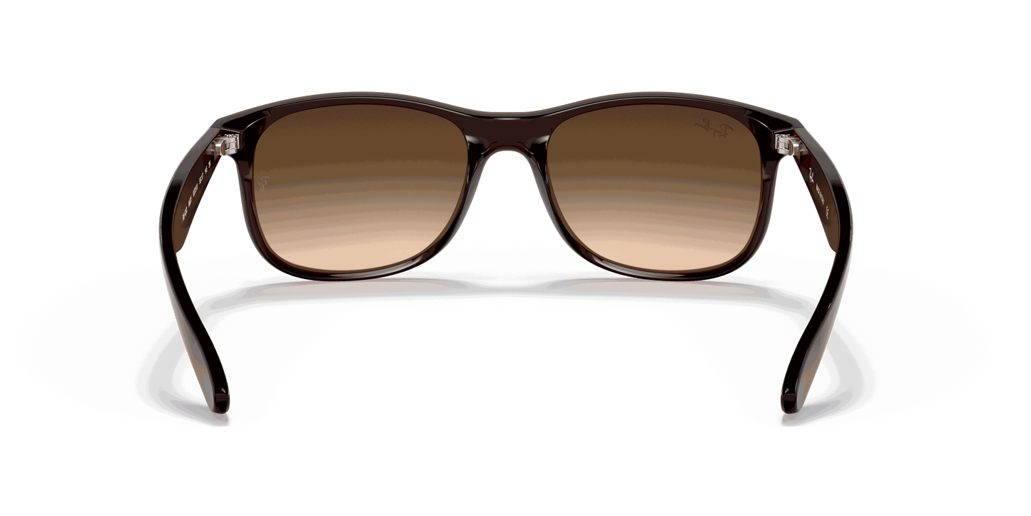 [Brown Gradient Lenses, Matte Brown Frame]
