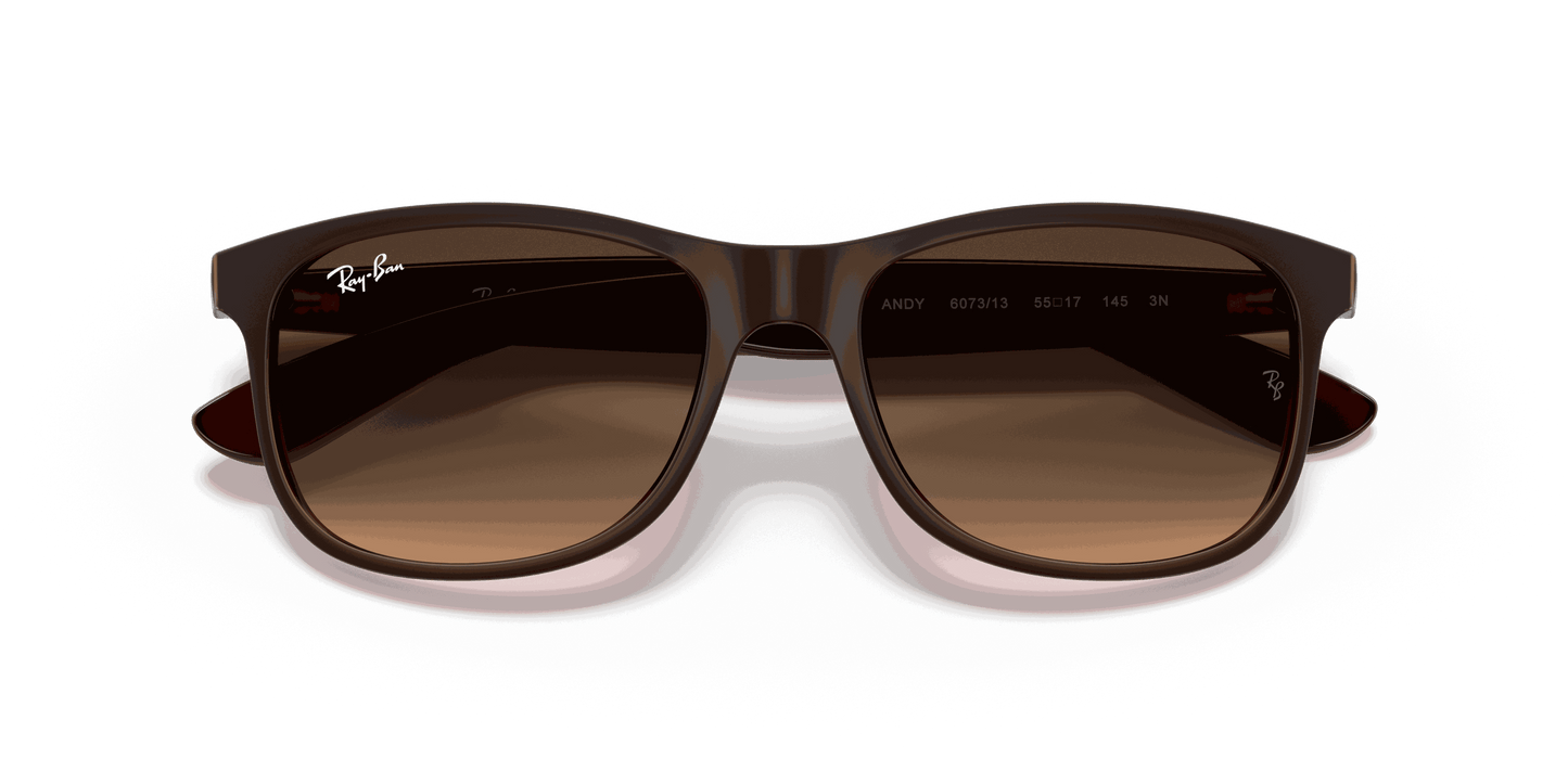 [Brown Gradient Lenses, Matte Brown Frame]